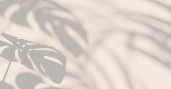 COMPLEMENTARY THERAPIES