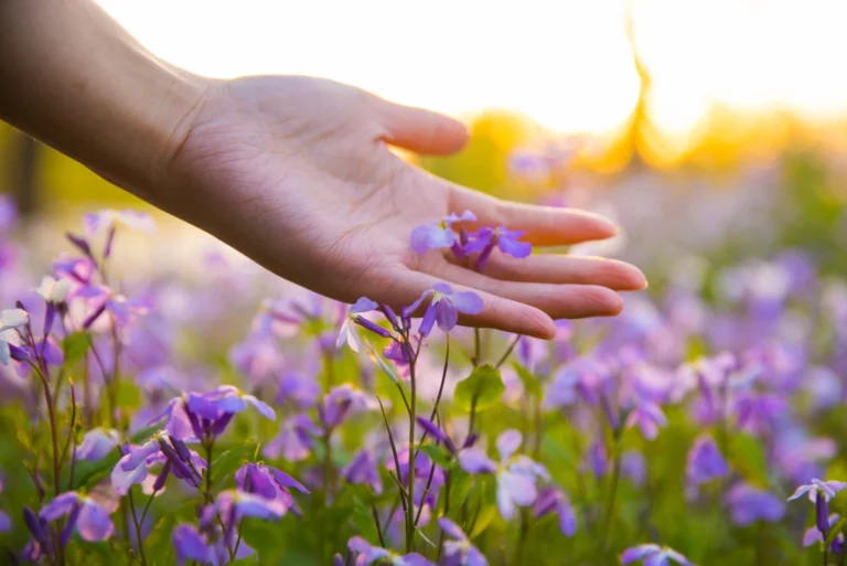 Spring gratitude April 2023