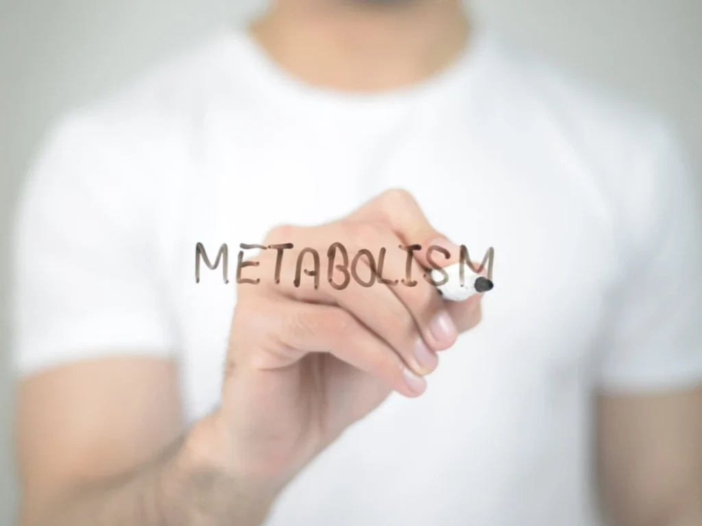 Understanding and improving metabolism Windsor